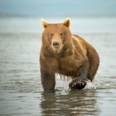 Russia