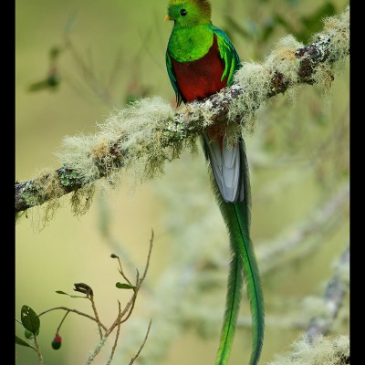 CostaRica