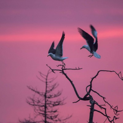 Finland