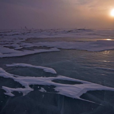 _DSC5539