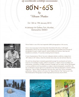 Jehangir Art Gallery Exhibition