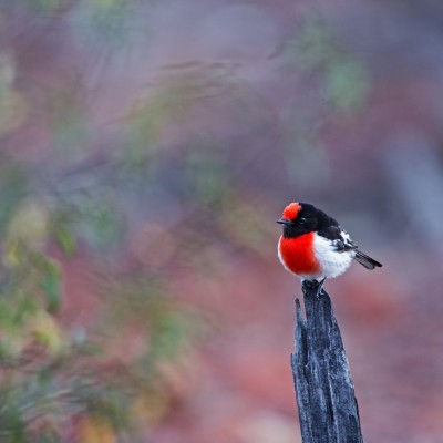_DSC1381_178