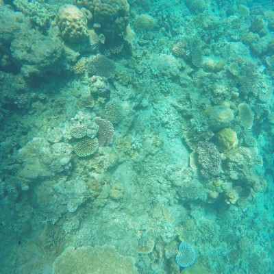 DCIM101GOPROG0260287.