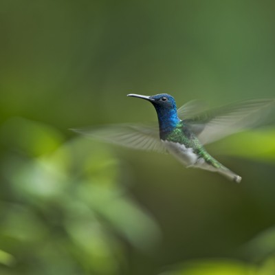 _DSC0486_328