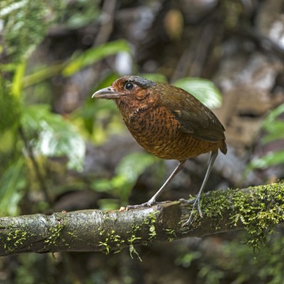 _DSC2949_333