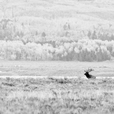 _DSC9730