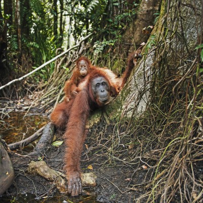 Indonesia